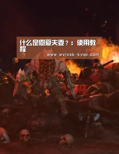 什么是恩爱夫妻？：使用教程