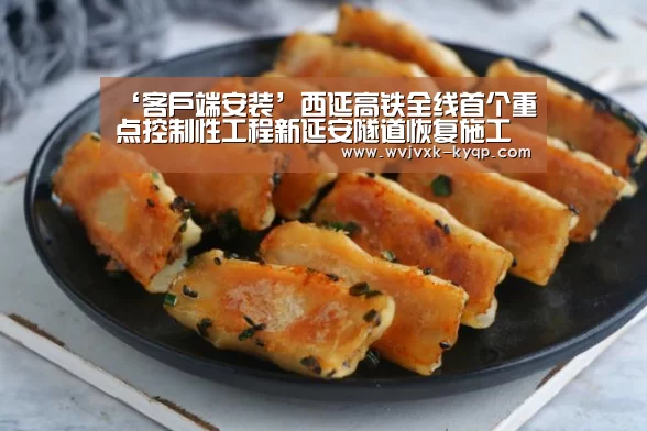 ‘客户端安装’西延高铁全线首个重点控制性工程新延安隧道恢复施工(图2) 应用获取