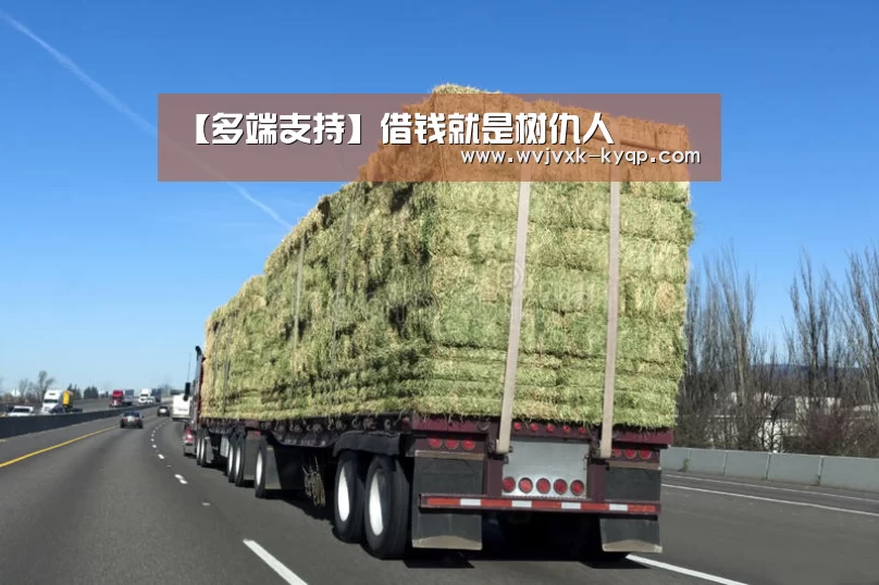 【多端支持】借钱就是树仇人(图2) 使用教程
