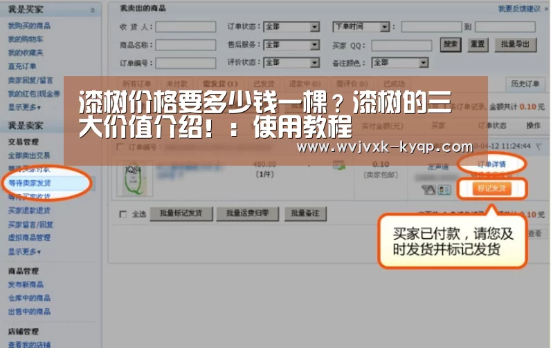使用教程
