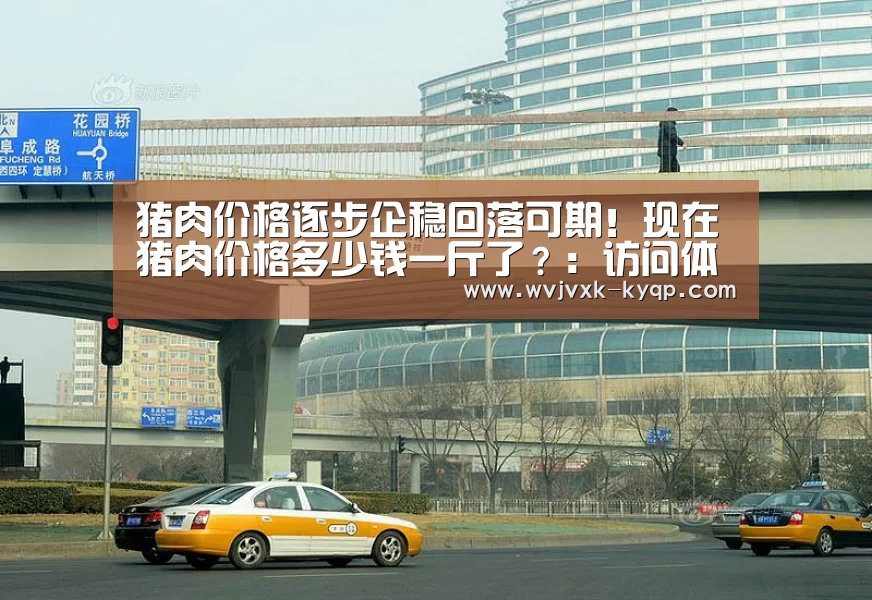 猪肉价格逐步企稳回落可期!现在猪肉价格多少钱一斤了?:访问体验(图3) 客户端安装