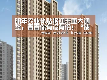 访问体验