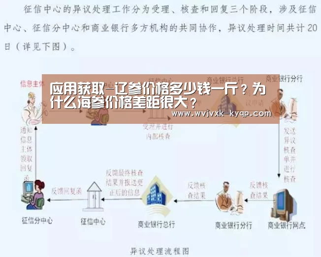 应用获取