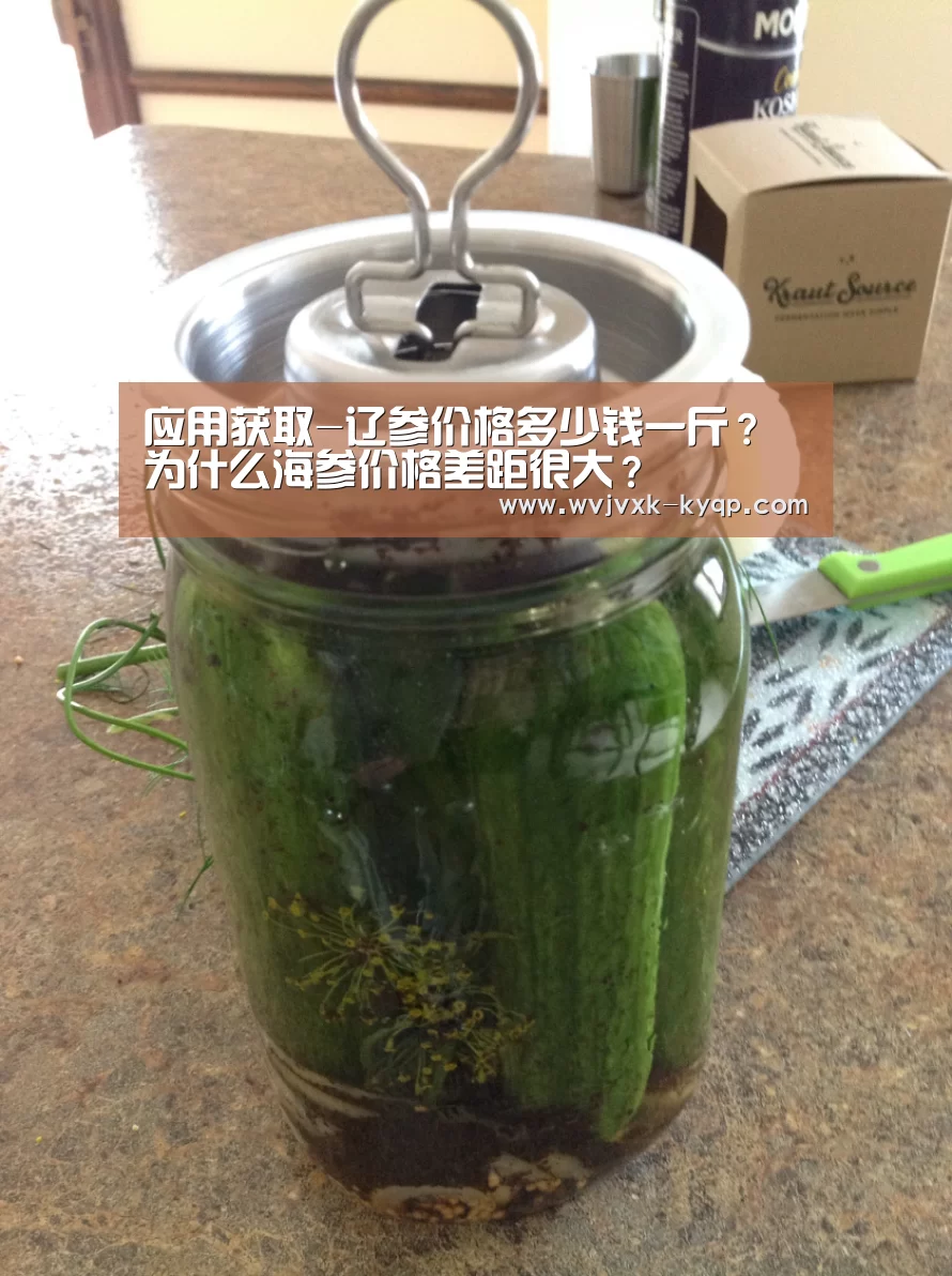 应用获取-辽参价格多少钱一斤？为什么海参