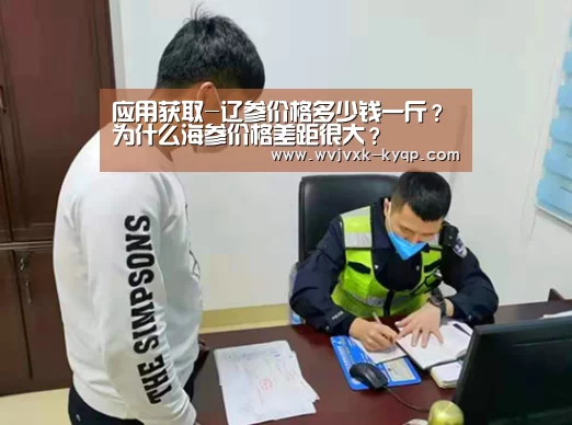 使用教程